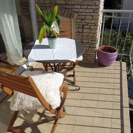 Iris 마카르스카